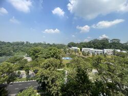 Pandan Valley (D21), Condominium #511908421